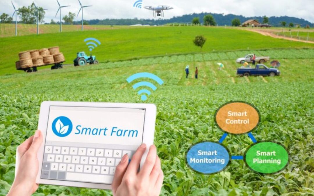 Memanfaatkan Analisis Data untuk Memajukan Pertanian di Kota Cerdas