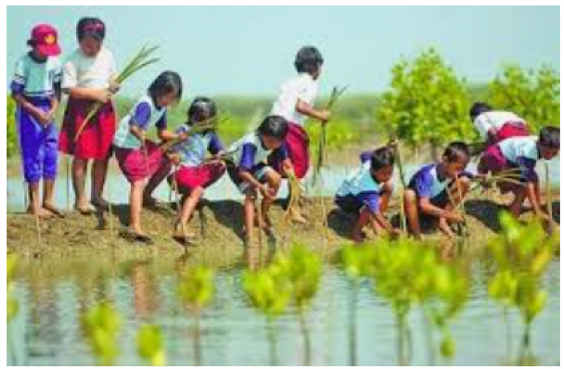 Desa Hijau: Pelestarian Alam dan Pembangunan Berkelanjutan