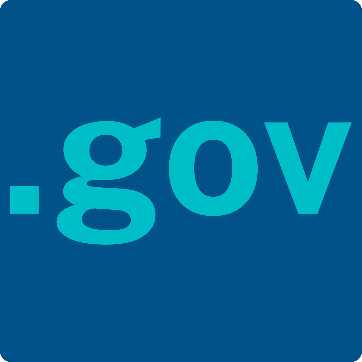 Domain .org vs. Domain .gov: Perbedaan dan Penggunaan dalam Organisasi