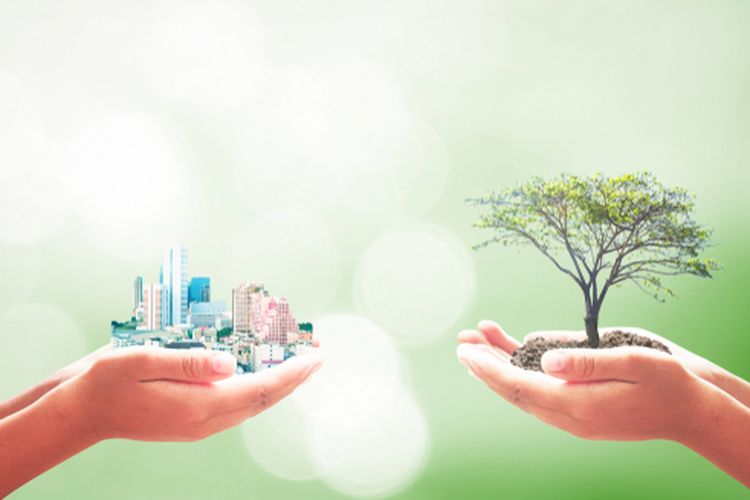 Peran Pertanian Berkelanjutan dalam Desa Hijau: Inovasi dan Keberlanjutan Pangan