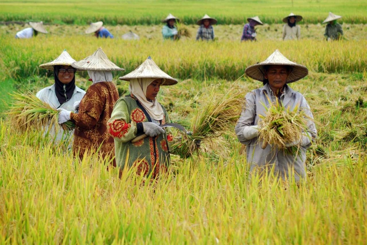 Pangan dan Pemberdayaan Kewirausahaan Sosial di Desa: Mendorong Ekonomi Berkelanjutan