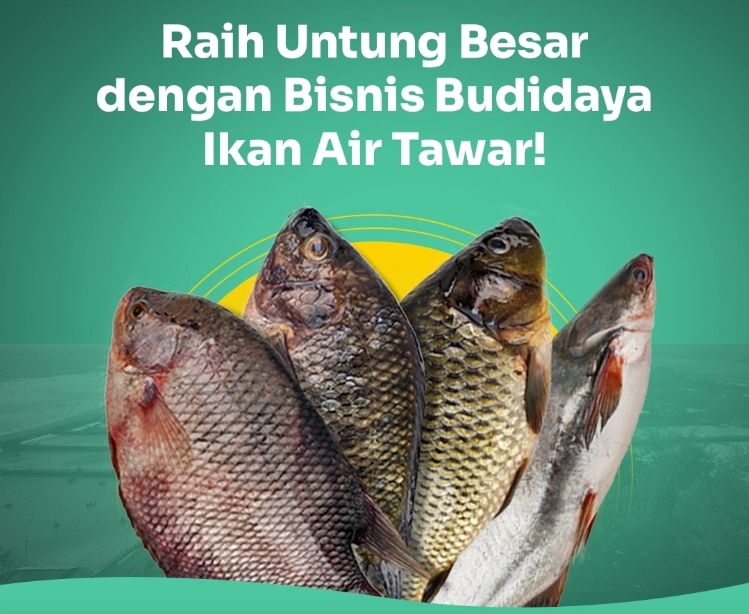 Mengoptimalkan Sistem Kesehatan untuk Peningkatan Kesejahteraan Masyarakat