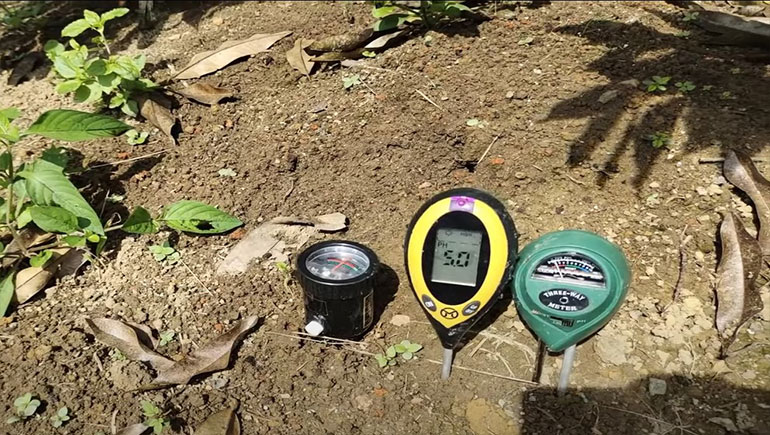 Smart Environment: Solusi untuk Pengelolaan Kualitas Tanah dalam Konservasi Hutan